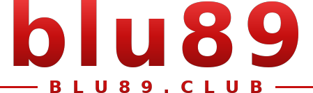 blu89 logo